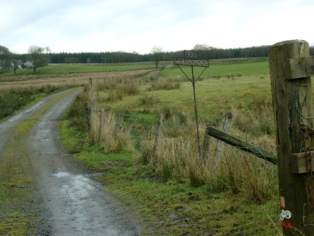 Low Overmuir Farm road end