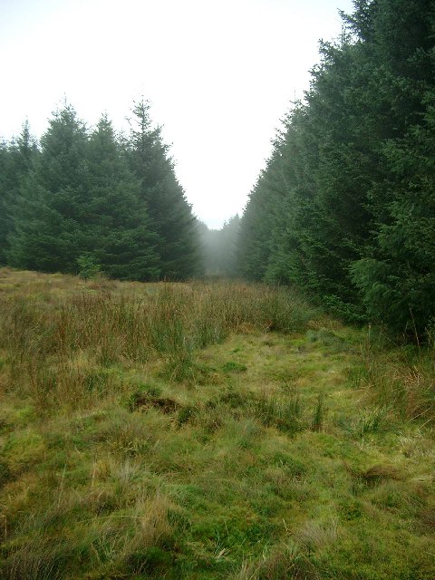 Rough path through the Whitelee Forest to High Overmuir farm