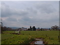 Pasture land near Rexworthy Farm