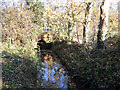 Washpit Brook, Girton, Cambs