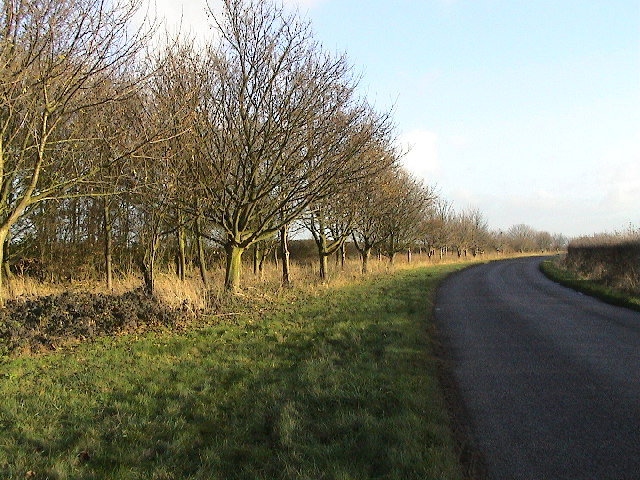 Bloxholm Lane