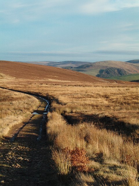 Track to Lammer Law