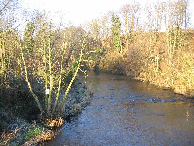 River Avon, Kinneil Mills © Richard Webb :: Geograph Britain and Ireland