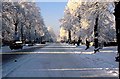 Binswood Avenue in the sun and snow