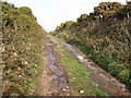 Farm lane to Trevegean