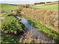 Stream in fields between Treave and Rissick