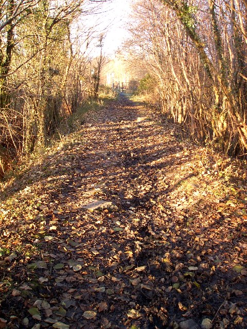 Aberdare canal tramroad at Robertstown