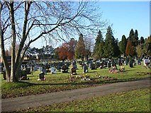 SP9666 : Rushden Cemetery by Will Lovell