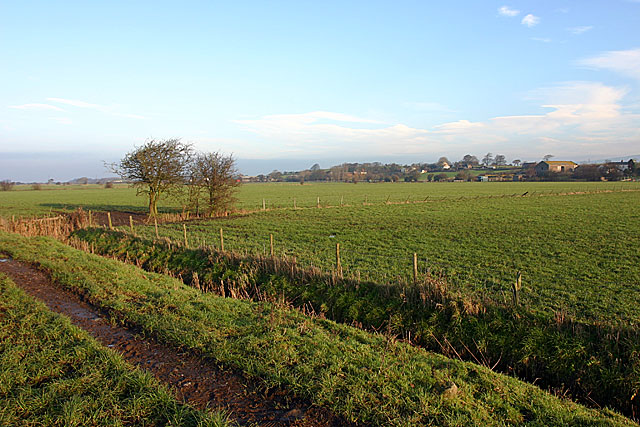 Thurnham fields