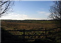 Field next to Fisher Lane, near Windmill Ind. Estate