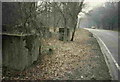 Concrete Anti Tank Blocks at Great Wood, near Northaw Hertfordshire.