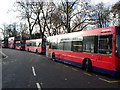 Woodbine Place, Wanstead, E11