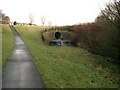 The Lyne Burn.