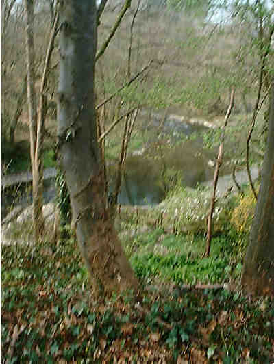 Edw River near Aberedw