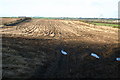 Ploughed  field