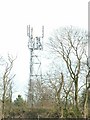 TL3337 : Transmitter mast by Robin Hall