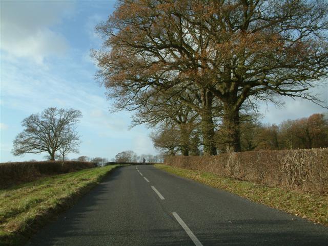 Cuckoo Lane