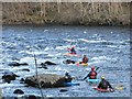 Canoeists on the Tay