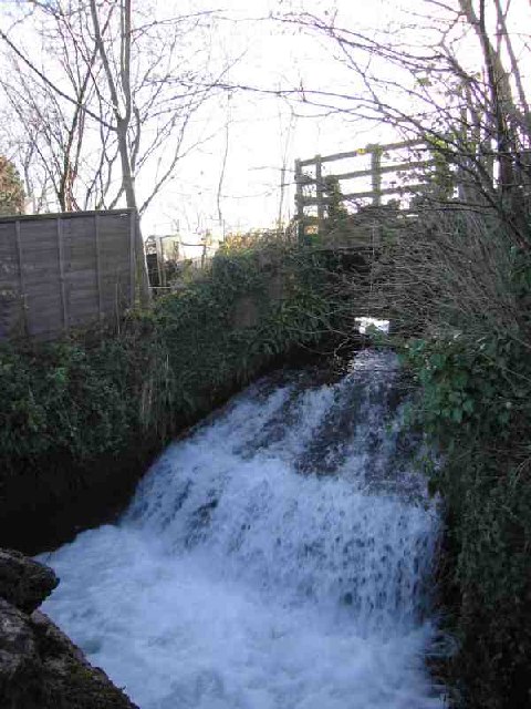 Mill Pond Run-Off