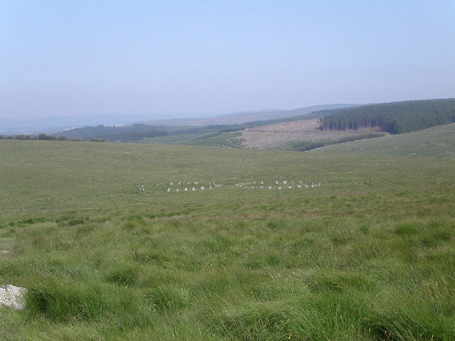 Grey Wether stone circles
