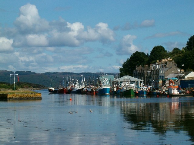Fishing Fleet in Port, Tarbert, Loch Fyne