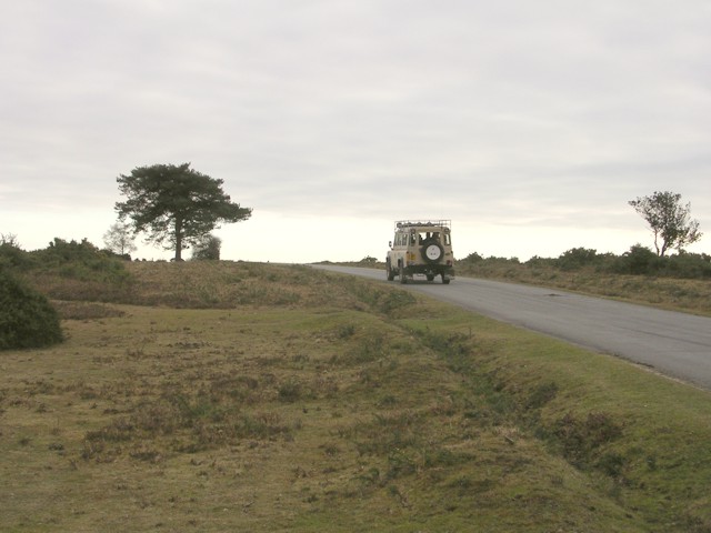 Rhinefield Road on Whitefield Moor, New Forest