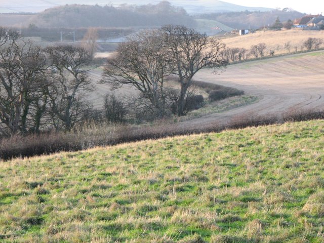 Fields near Cove