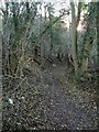 SU8298 : Bradenham Wood - A pathway by Rob Farrow