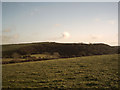 Farmland near Middle Marwood