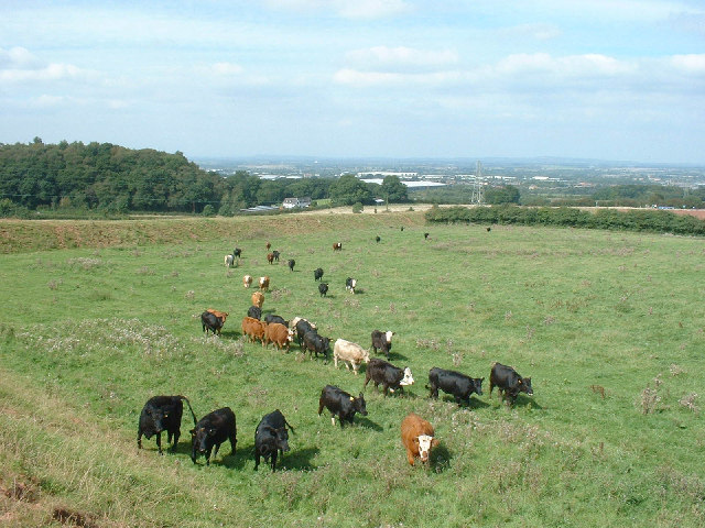 Pasture land east of Telford