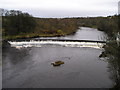 Blantyre weir .