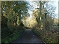 The Track to Little Haseley