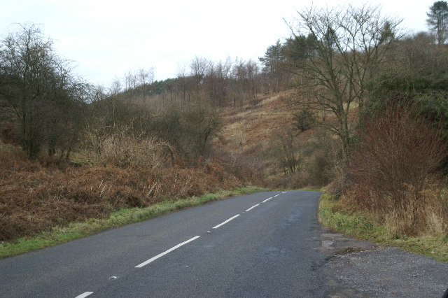 Road at the top of Cheddar Gorge