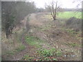 Disused Buckingham arm of the Grand Union Canal