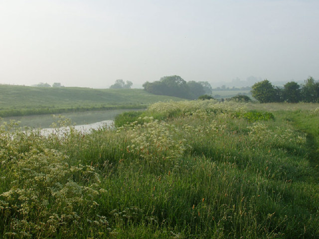 Morning mist by the Nene, Oundle.