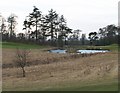 Charleton Golf Course