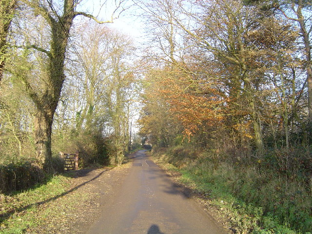 Shenley: Woodhall Lane