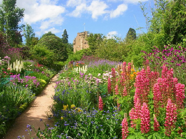 June Border at Crathes Castle Gardens