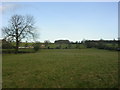 View from Gilling West to Skeeby road, near Richmond, North Yorkshire