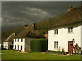 Thatched Cottages at Milton Abbas