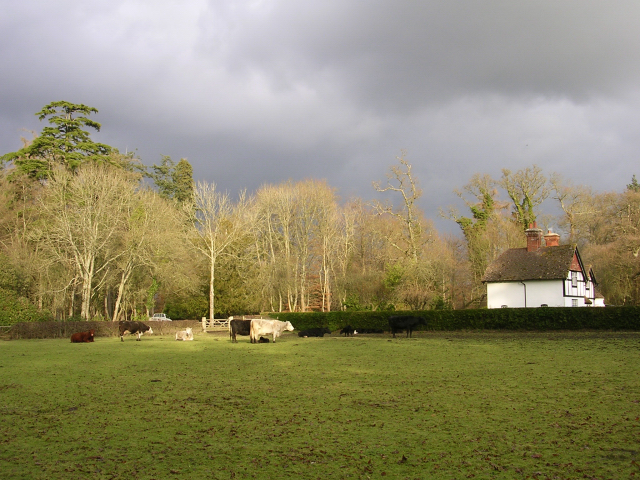 Bolderwood Cottage New Forest C Jim Champion Cc By Sa 2 0