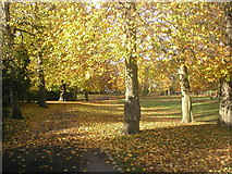 NJ9206 : Autumn at Victoria Park by Richard Slessor
