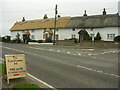 Old and New Thatch in East Knighton