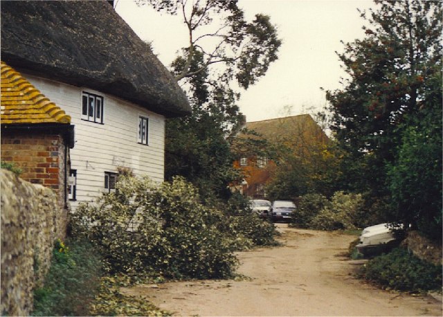 Hurricane damage