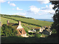 South Down Farm, Ringstead