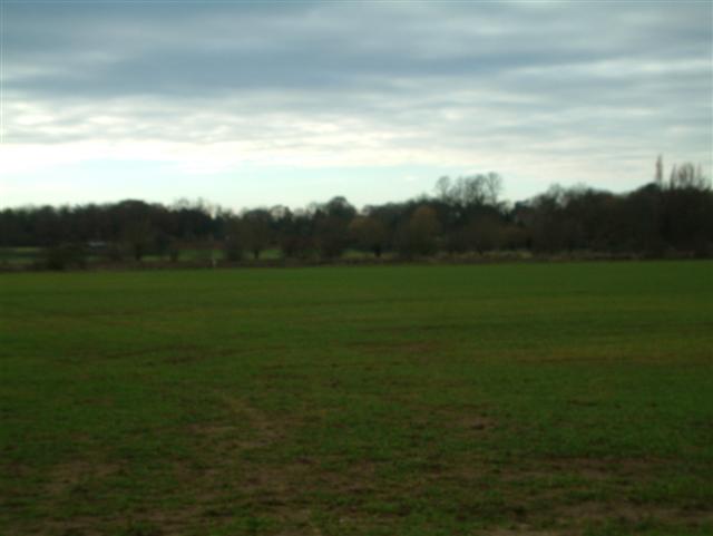 Fields to the Thames, and the Woods of Rush Court