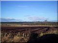 Ploughed Fields