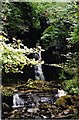 Mill Gill Force