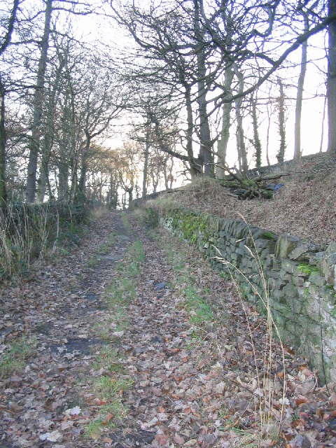Bridleway leading up to Woodsome Road