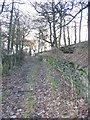 Bridleway leading up to Woodsome Road